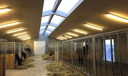 Hph Totalbyg Center For Fys 2