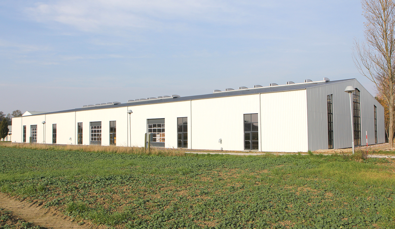 Hph Totalbyg Vikima Seed 2