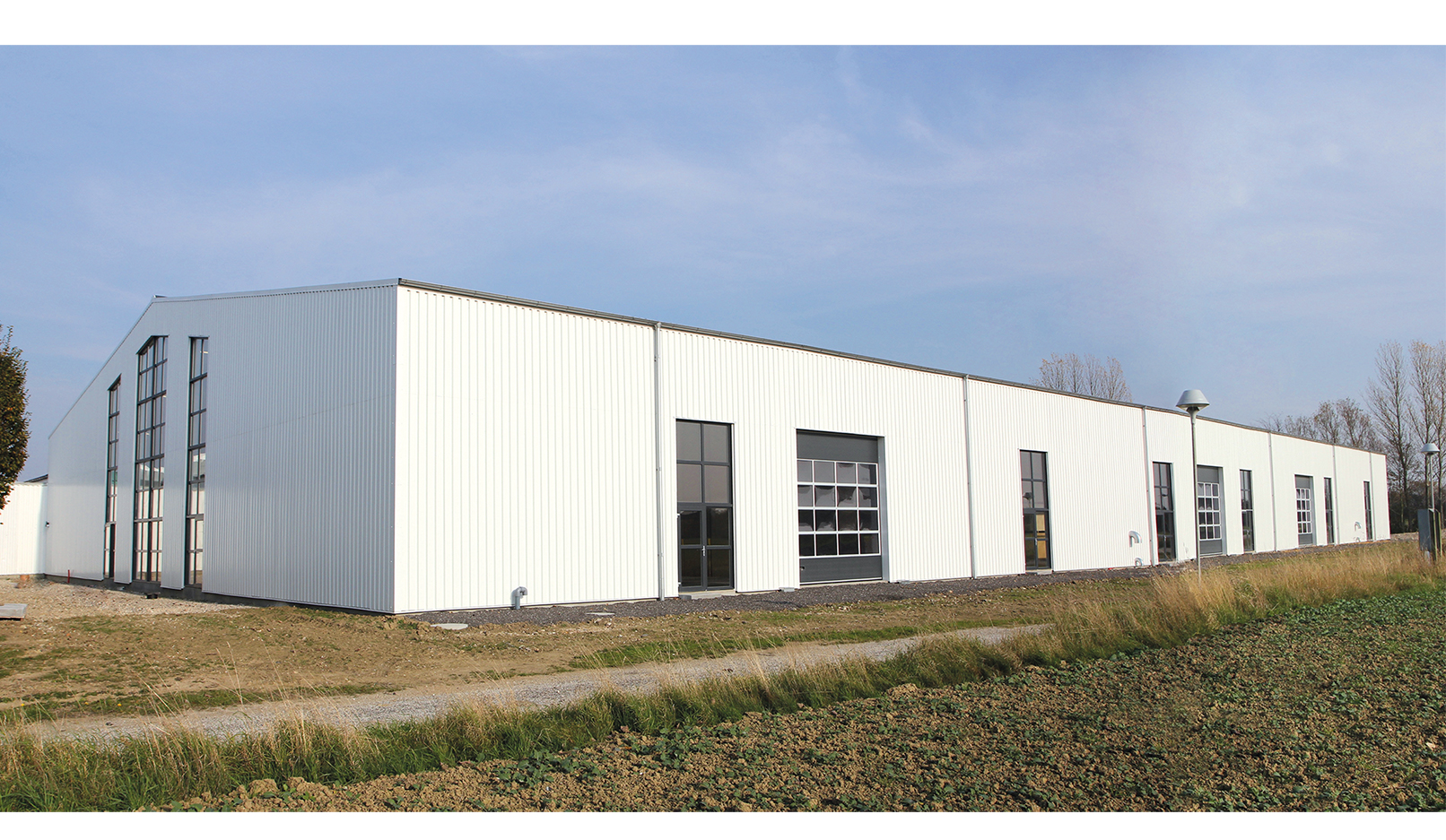 Hph Totalbyg Vikima Seed